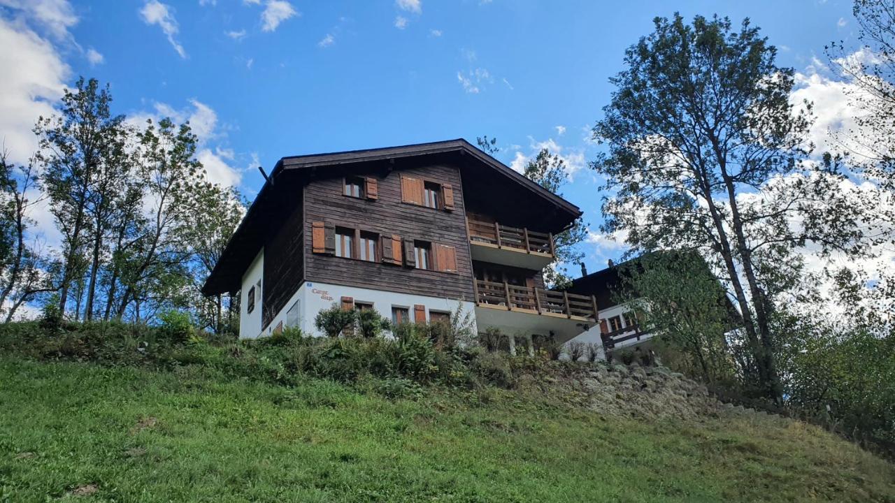 Chalet Carpe Diem Fieschertal Exteriér fotografie